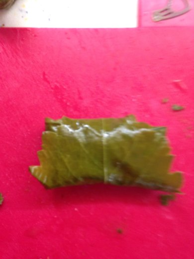 Долма - Шаг 2