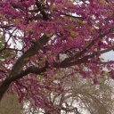 Валентина Седова