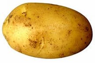 Фрикадельки в томатном соусе - приготовление