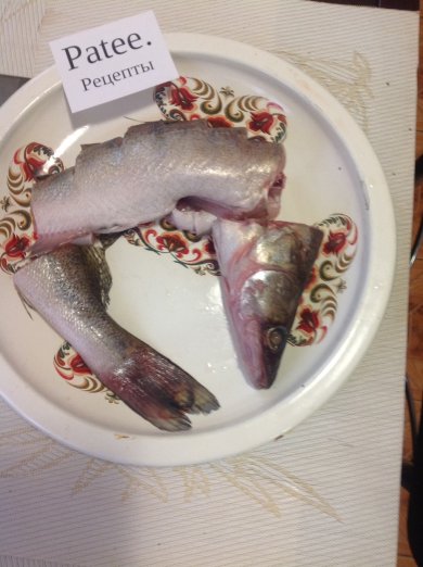 Заливное из судака. - Шаг 1