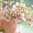 Ольга Зубкова