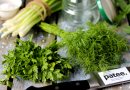Как хранить зелень в холодильнике