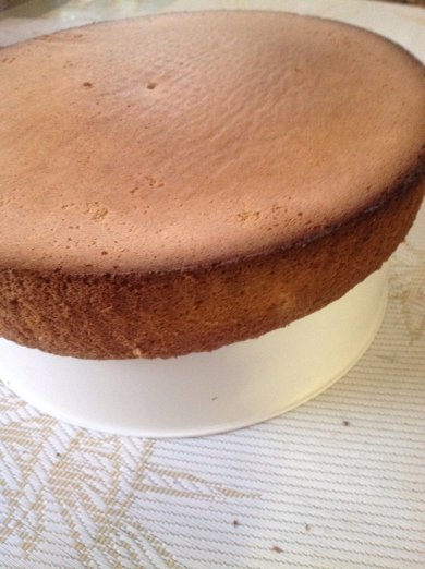 Бисквит ,,Розы на снегу" - Шаг 7