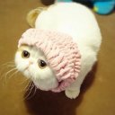 Камилла Аббасова