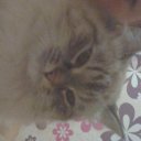 Юленька Небо