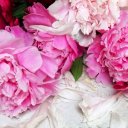 Алёна Стрельникова