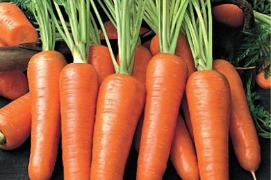 Морковный суп с Bruschetta и соусом песто - приготовление