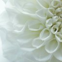 Алёна Владимировна