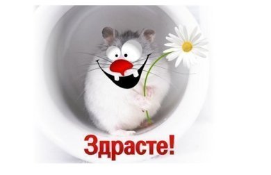 Всем привет!