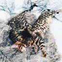 Лилия Мухаметзянова