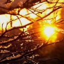 Hava Avdaeva