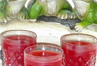 Ароматный квас "Клюквенно-брусничная услада"