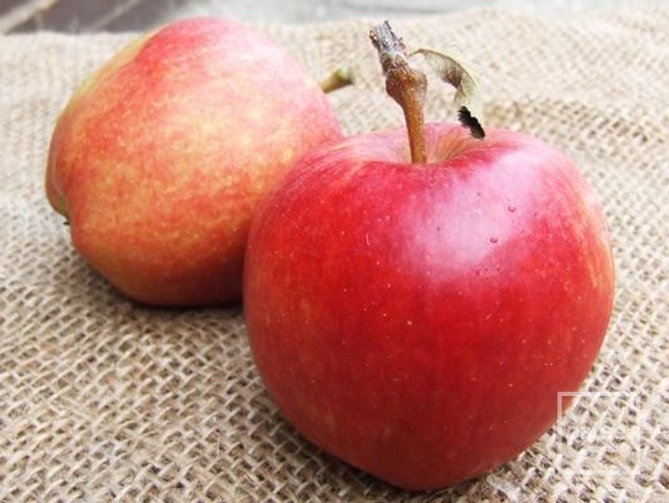 Тарт Татен (tarte tatin) яблочный - Шаг 1