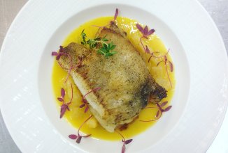 Жареный палтус с фенхелем