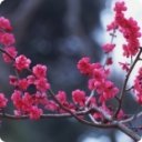 Наталья Федорова