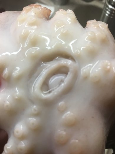 Осьминог по-галисийски - Шаг 2