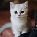 Kristina Gridina🍽