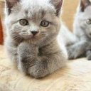 Татьяна Дунюшкина