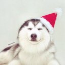 Динар Гатауллин