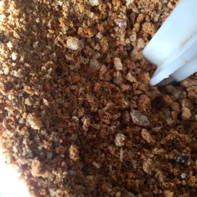 Чизкейк , который получается всегда ! - Шаг 1