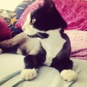 ирина кувалдина