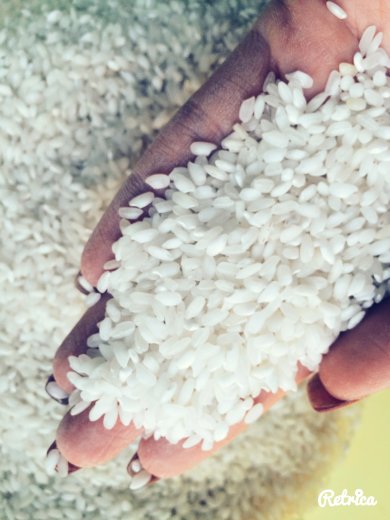 Плов по туркменский - Шаг 6