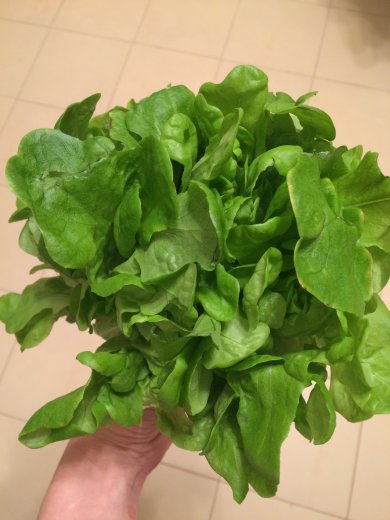 Салат с клубникой - Шаг 1