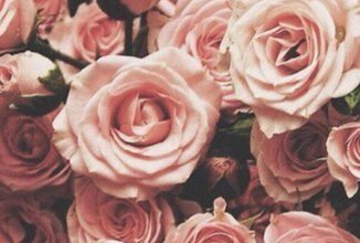 ПП печенье с творожной начинкой