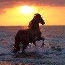 Ксюша Репницкая