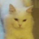 Татьяна Коео