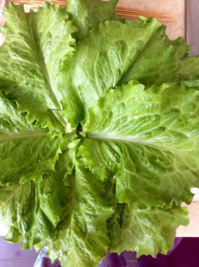 Милые крошки - Шаг 1