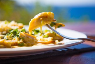 Ламби в сливочном соусе по-доминикански