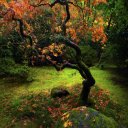 Ярослав Гасай