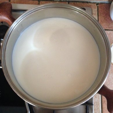 Панир (домашний сыр) - Шаг 1