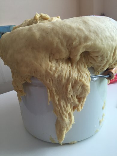 ПАНЕТТОНЕ - Итальянский кулич . Рецепт-сказка - Шаг 5