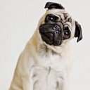 Александра Устинова