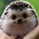 Арина Якушева