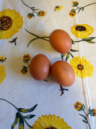 Черничные капкейки - Шаг 10