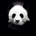 Наталя Витязь