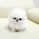 Яна Кубанкова