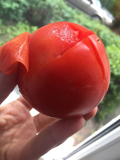 Рататуй - Шаг 4