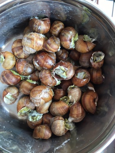 Эскарго - Шаг 2