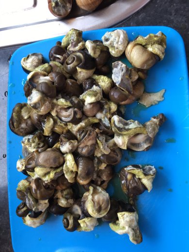 Эскарго - Шаг 3