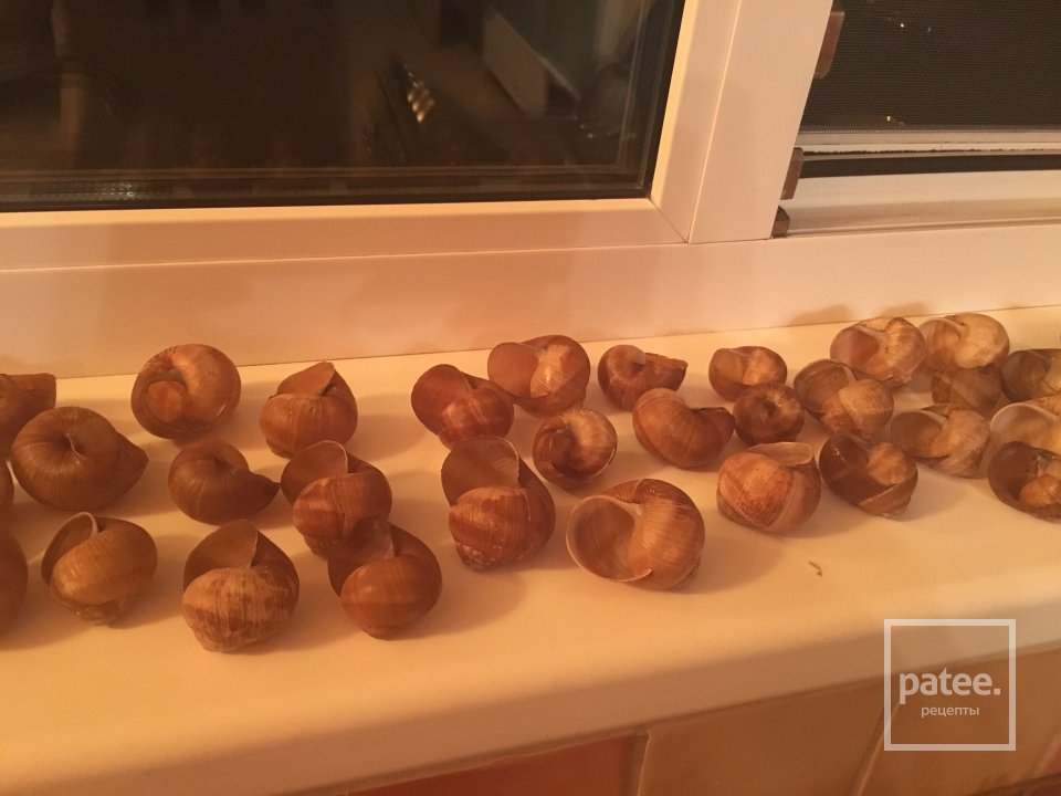 Эскарго - Шаг 6