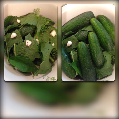 Огурчики малосольные - Шаг 3