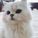 Екатерина Макеева