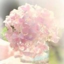 Екатерина Баркова