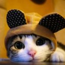 Екатерина Шачнева