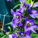 Наиля Гиниятуллина