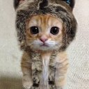 Иван Половиков